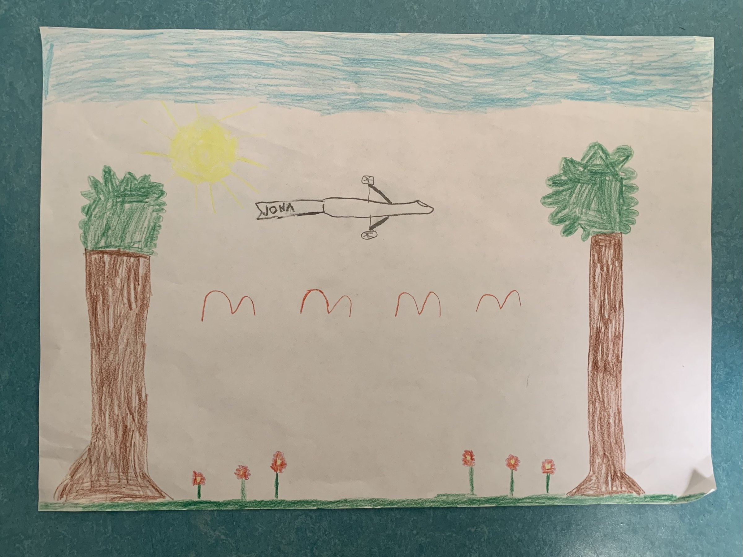 "Elektroflugzeug und viele Bäume" von Jona